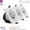 Đèn Spotlight Âm Trần Philips OEM ASV-DLS2 3x18w Đèn Spotlight âm trần Philips OEM ASV-DLS2 3x18w