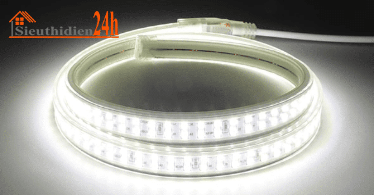 Đèn Led Trang Trí Là Gì? Các Mẫu Dây Đèn Led Trang Trí Đẹp Đèn LED dây 2 hàng bóng