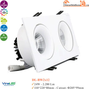 Đèn Spotlight Âm Trần Mẫu B Vinaled DL-BW2x12 24W