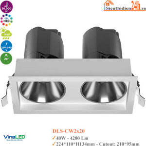 Đèn Spotlight Mẫu D Vinaled DLS-DW2x20 40W
