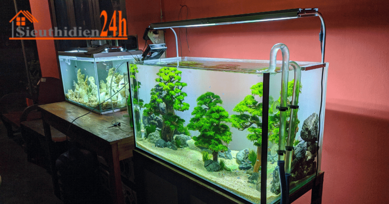 Các Loại Đèn Led Hồ Cá Đẹp, Phổ Biến Hiện Nay